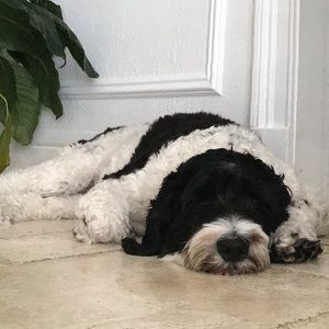 Meet your Posher, Darra